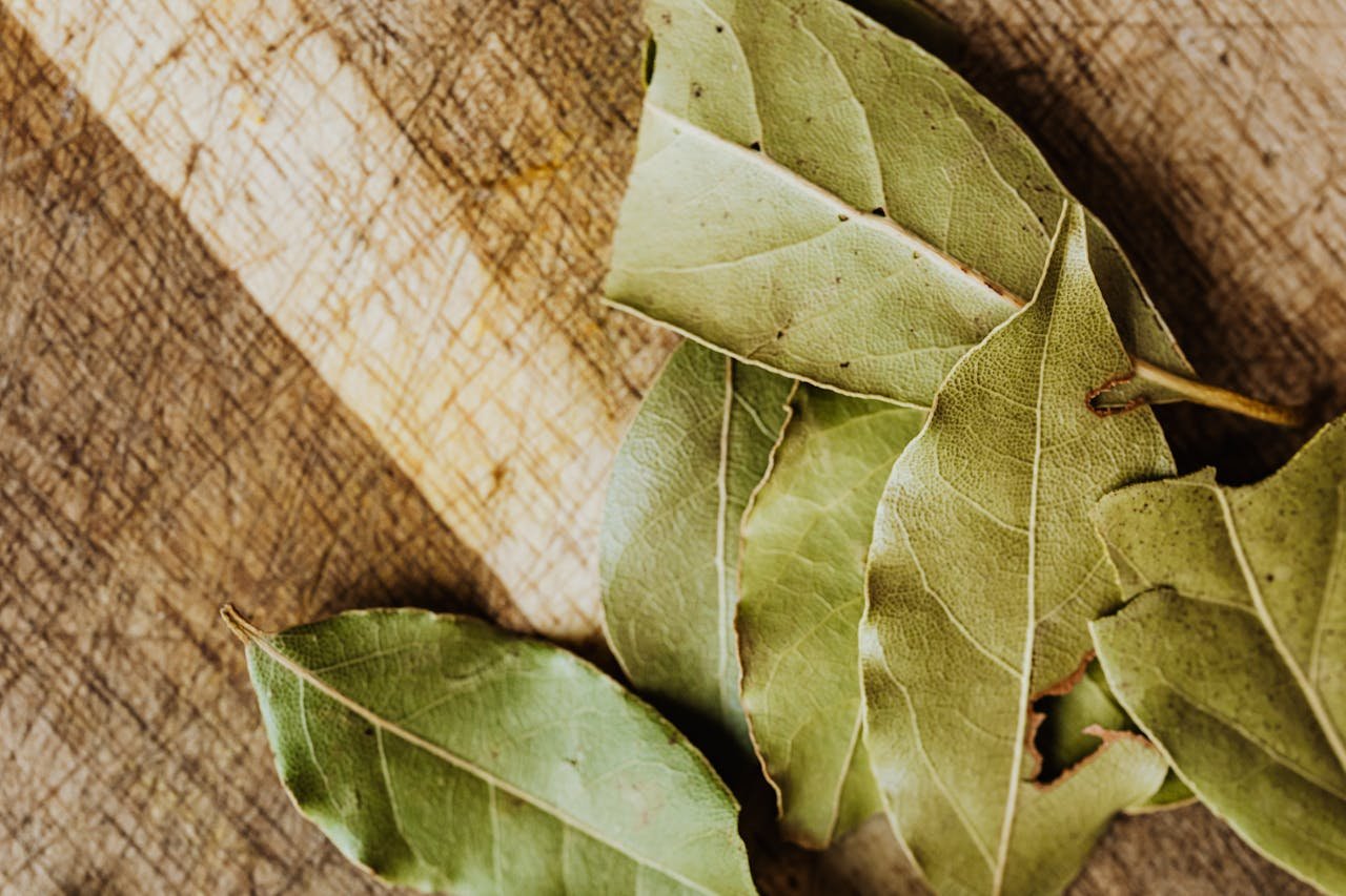 Bay Leaf