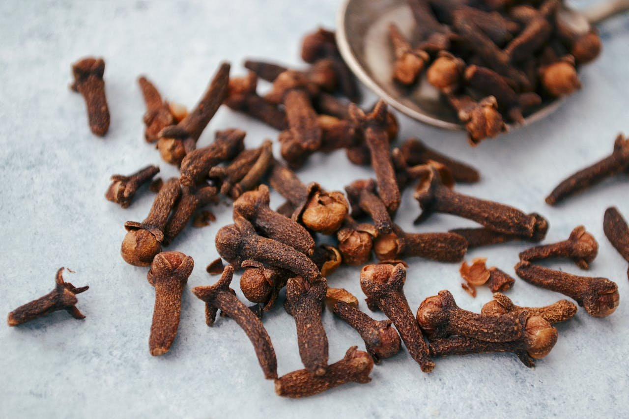 Clove Stem