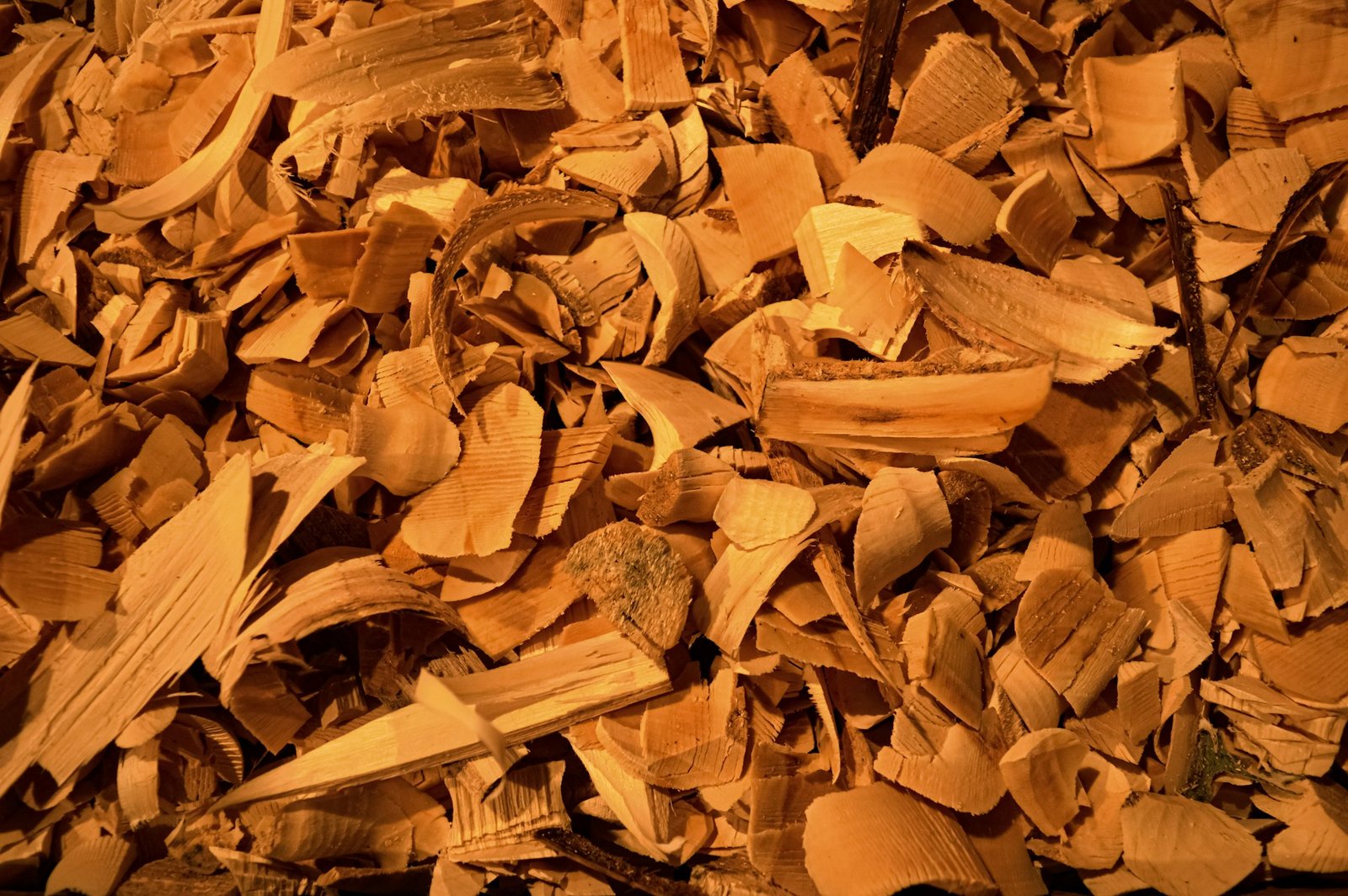 Hinoki Wood