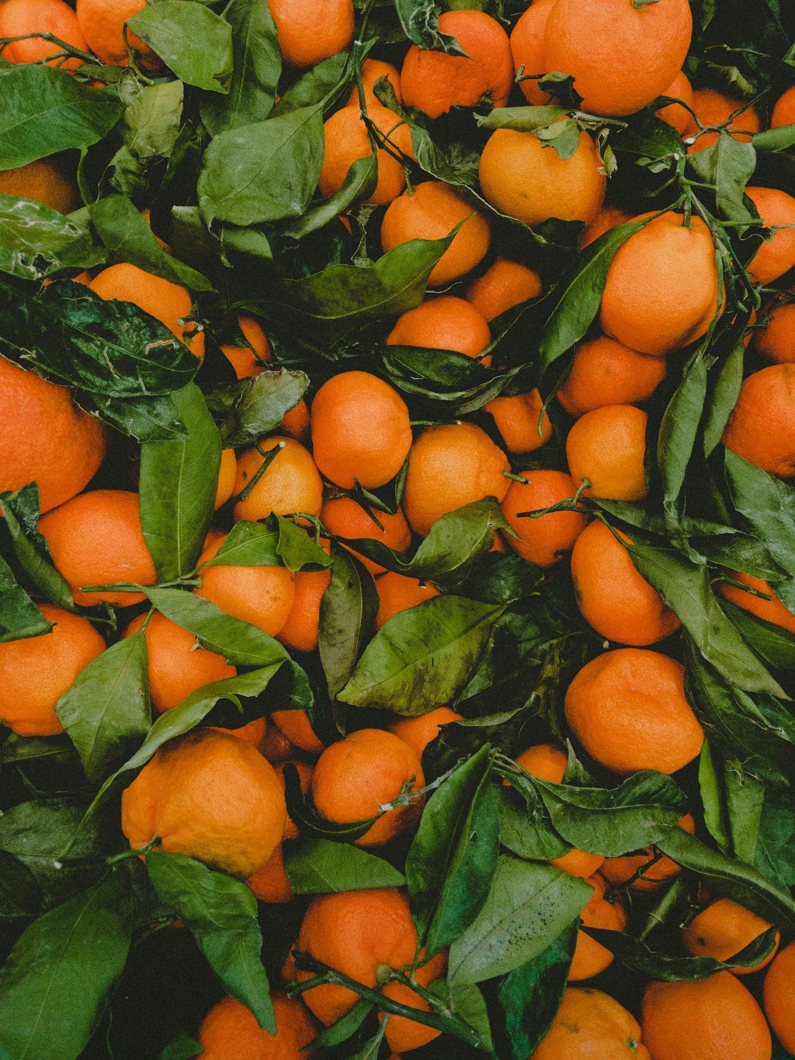 Orange Sweet