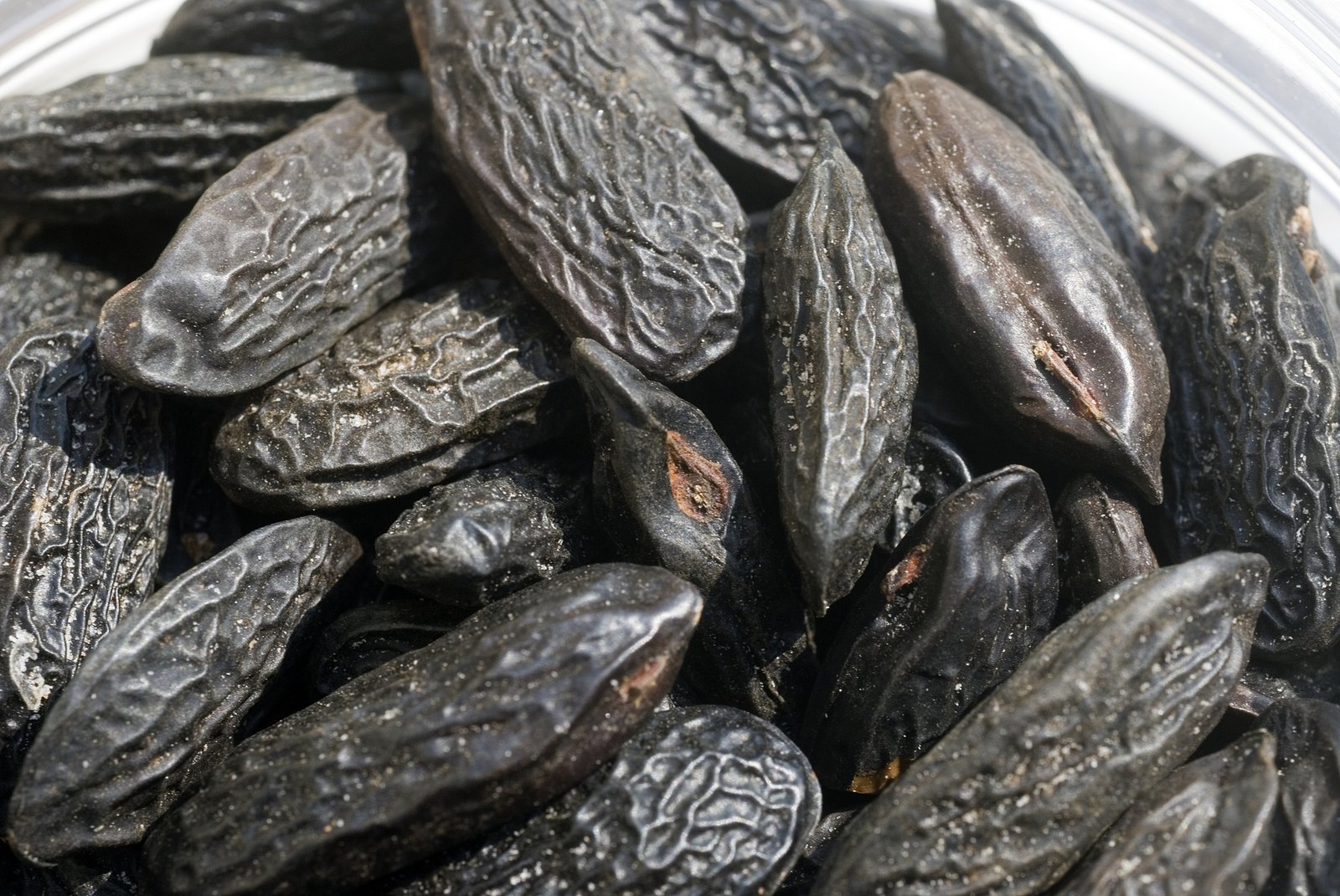 Tonka Bean