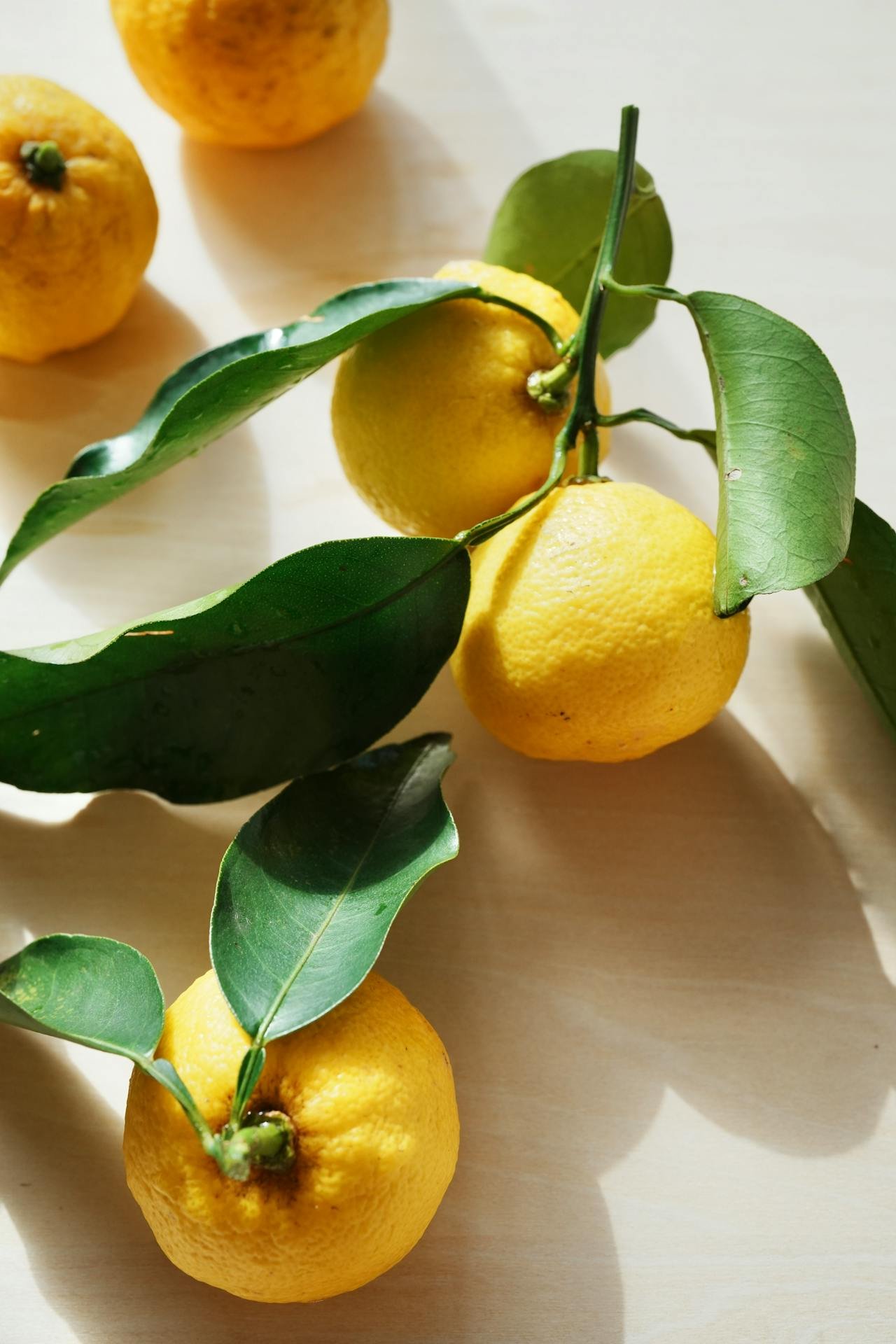 Yuzu